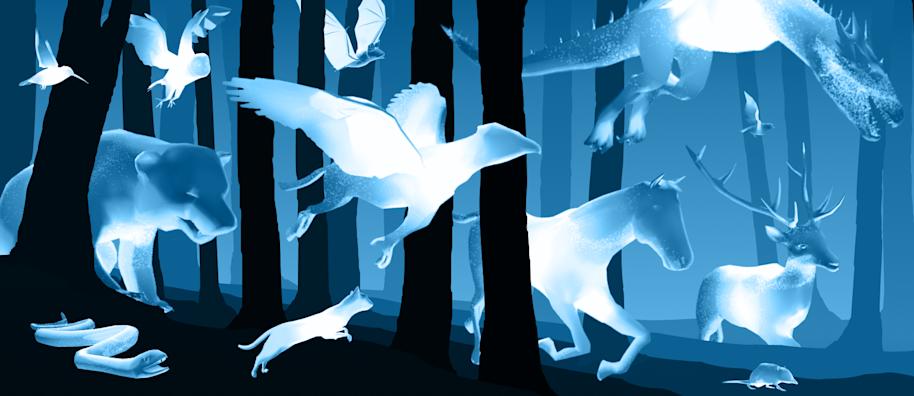 WEB-PROFILE-PATRONUSES