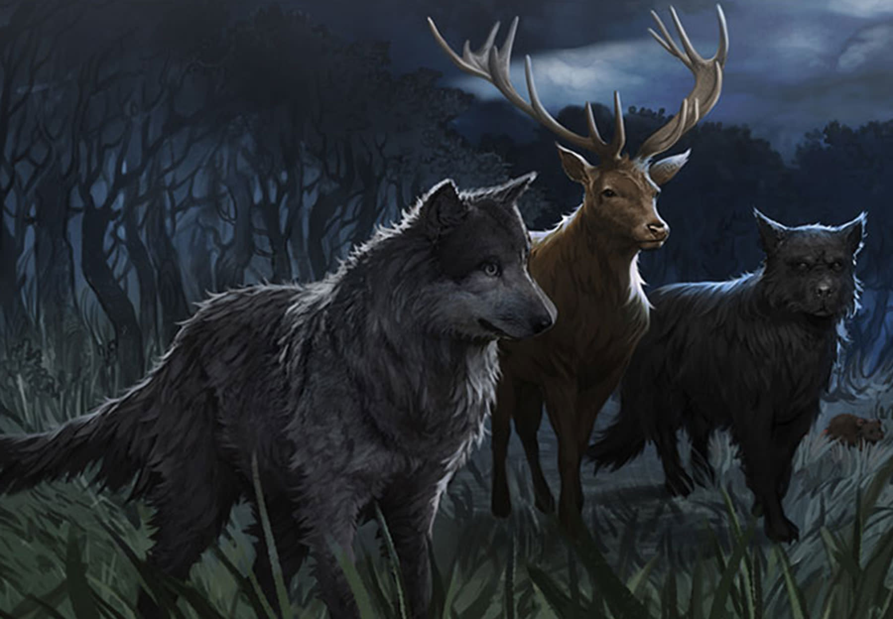 fact-file-hero-animagus-marauders-animal-form-pottermore-moments