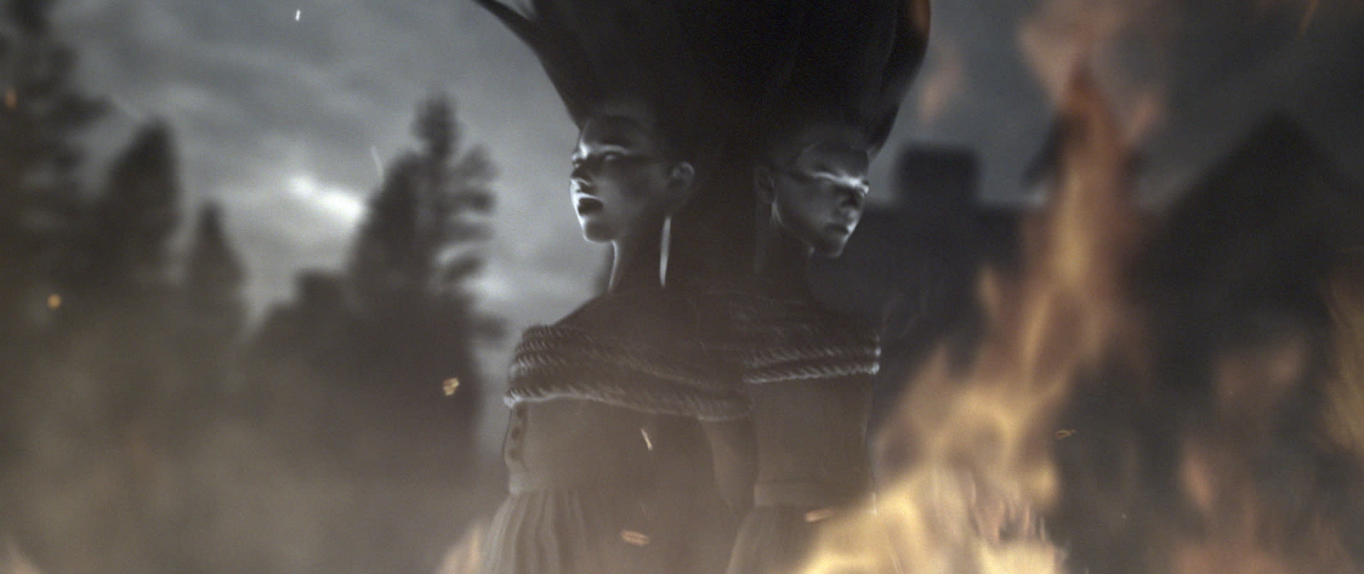 wb-homina-seventeenth-century-and-beyond-collection