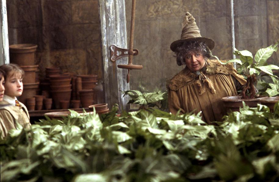 Pomona Sprout in her greenhouse from the Chamber of Secrets