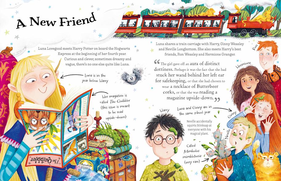 pocket-potters-luna-inlay-1