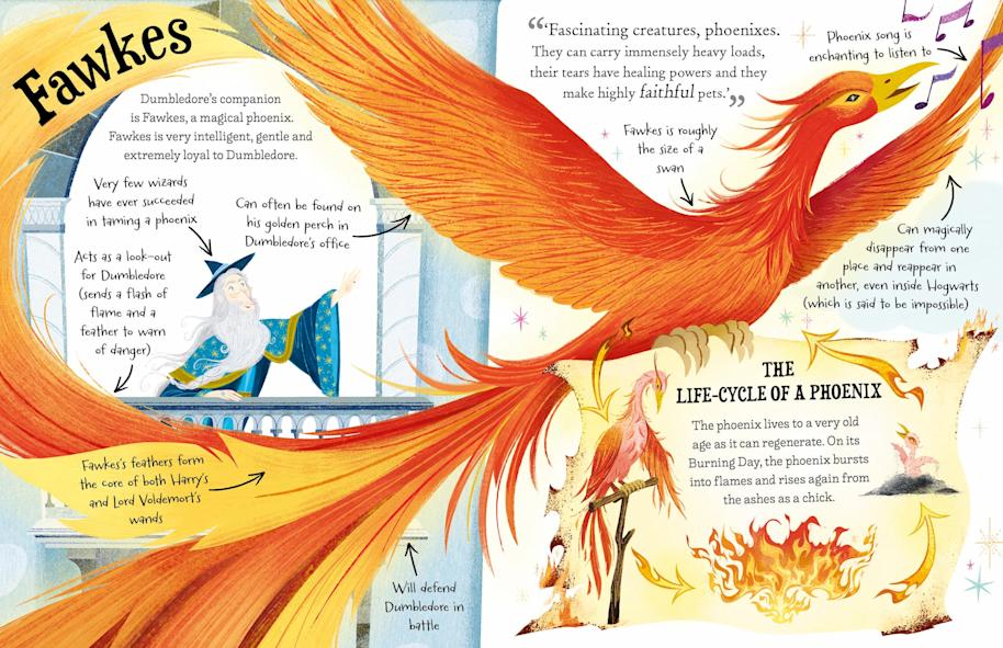 pocket-potters-dumbledore-inlay-3