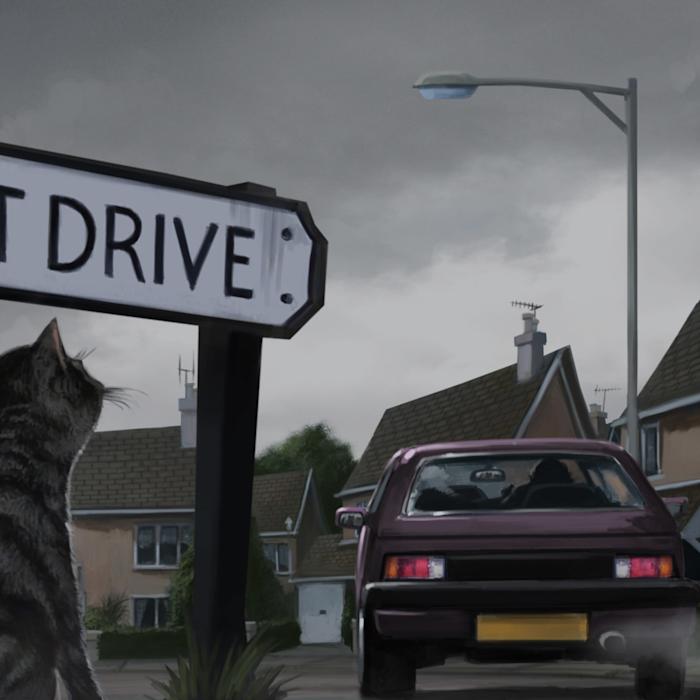 Why did Harry Potter have to live with the Dursleys? 