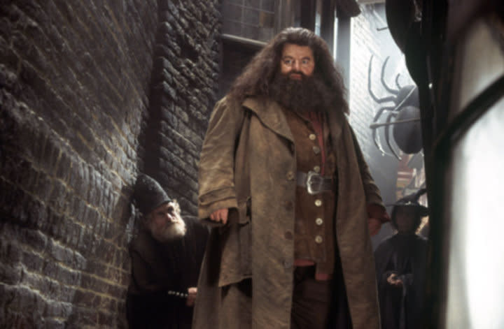 Hagrid in Knockturn Alley from the Chamber of Secrets