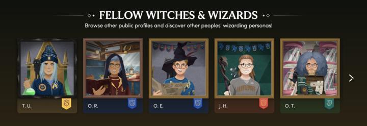 Public-Profiles-replacement-fellow-witches-and-wizards-screengrab