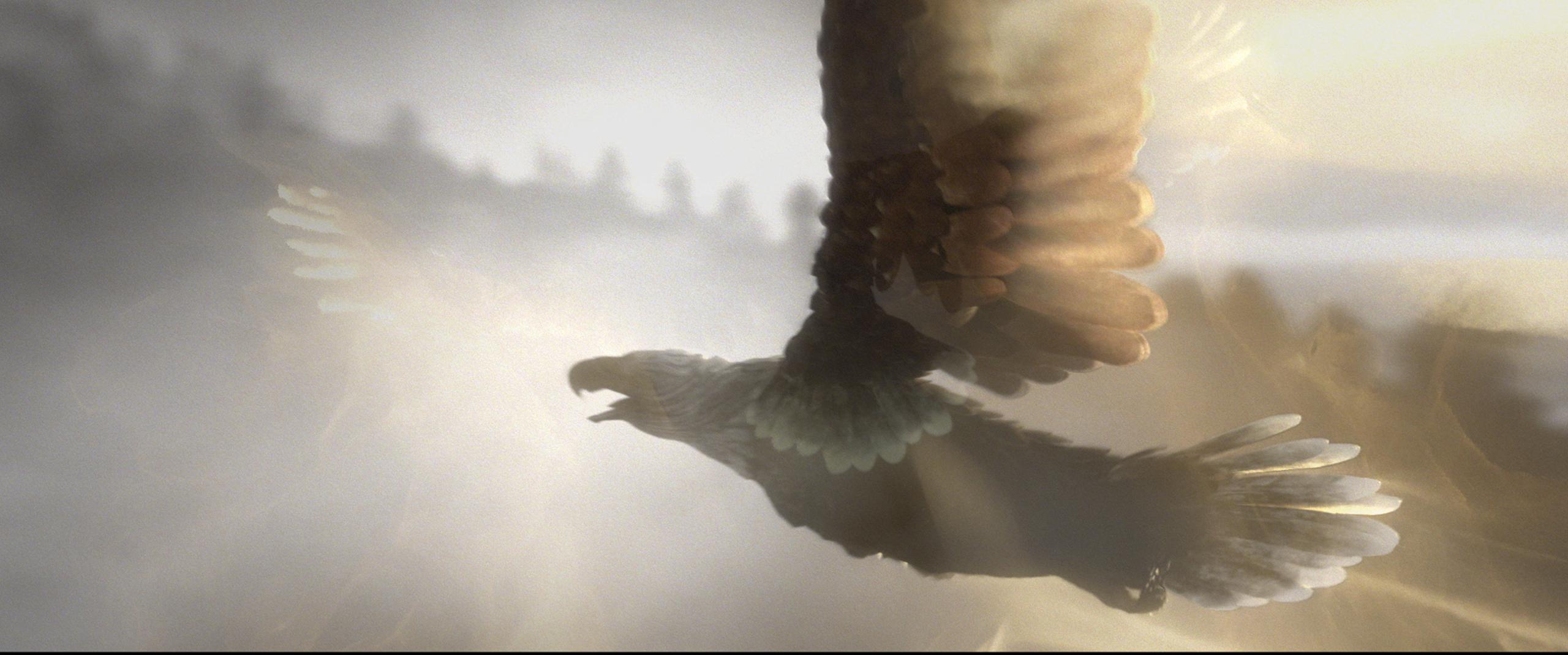 wb-homina-fourteenth-century-to-seventeenth-century-collection