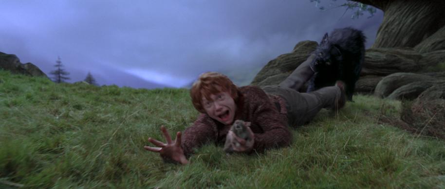 PMARCHIVE-WB F3 RonAndScabbers RonIsDraggedByPadfoot HP3-FX-295 45qK0rfLXqIoamou0Miwsk-b5