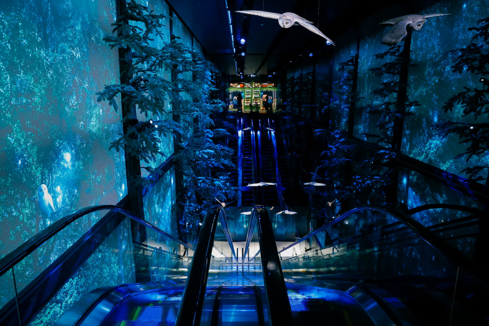 Harry-Potter-Shop-Harajuku-Ceiling-Owls