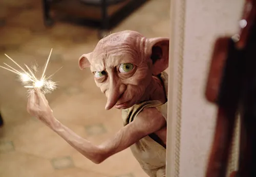 The ultimate Dobby quiz